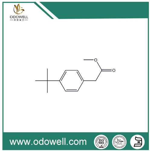 P-tert-butylofenylooctan metylu