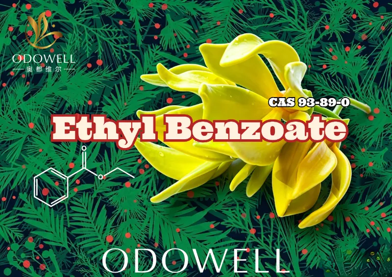 ODOWELL wprowadza na rynek benzoesan etylu: ciepły ester Wintergreen-Ylang zapewniający kwiatową i orientalną elegancję
