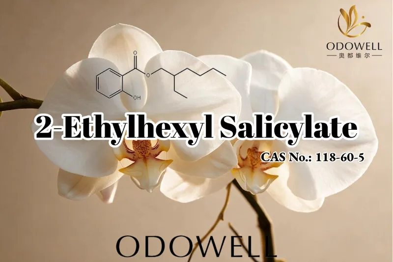 ODOWELL zaleca salicylan 2-etyloheksylu do zastosowań zapachowych, kosmetycznych i higieny osobistej