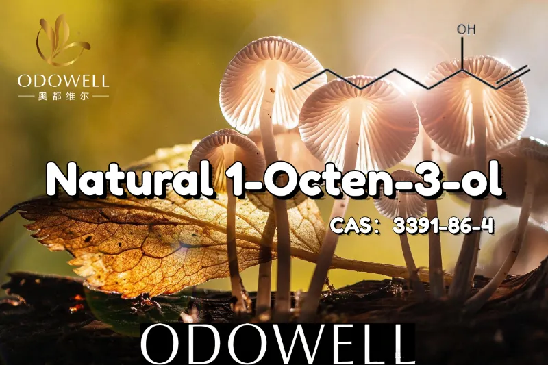 ODOWELL zaleca naturalny 1-okten-3-ol do zastosowań o smaku grzybowym i ziemistym